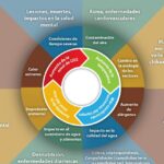 Dietas y deficiencias nutricionales: impactos en la salud global