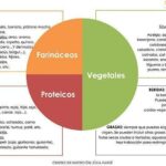 Guía completa: Necesidades nutricionales de un vegetariano