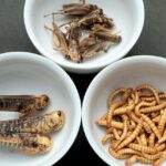 La dieta de los insectos: ¿Qué comen estos curiosos seres?