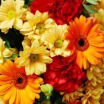 La mejor ocasión para regalar flores y sorprender