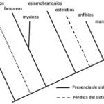 Modelos matemáticos para predecir respuesta de reptiles